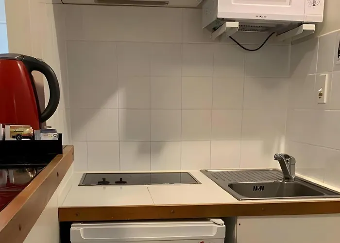 Rotorua Motel 4* Rotorua